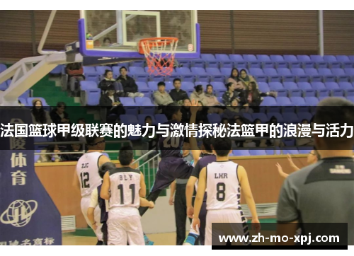 法国篮球甲级联赛的魅力与激情探秘法篮甲的浪漫与活力